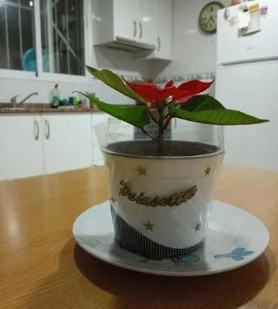 Chambre Economique Ubytování v soukromí